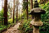 Tachi Gata Lantern