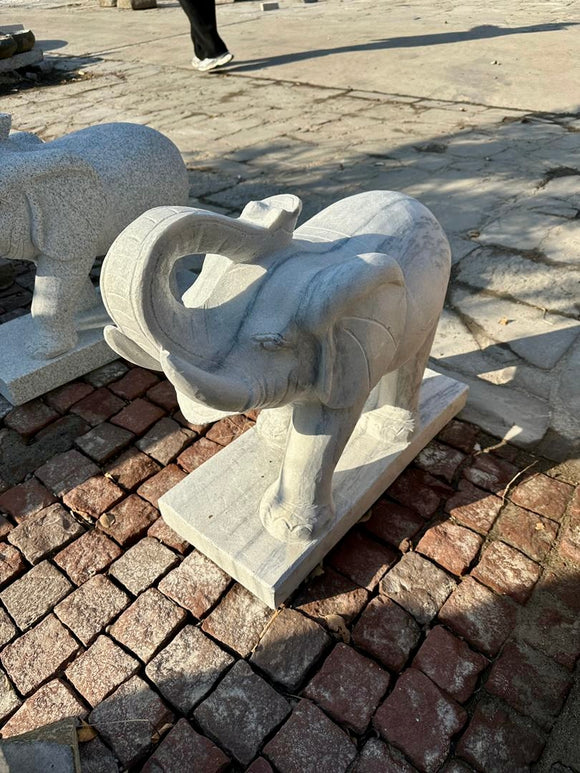 Elephants