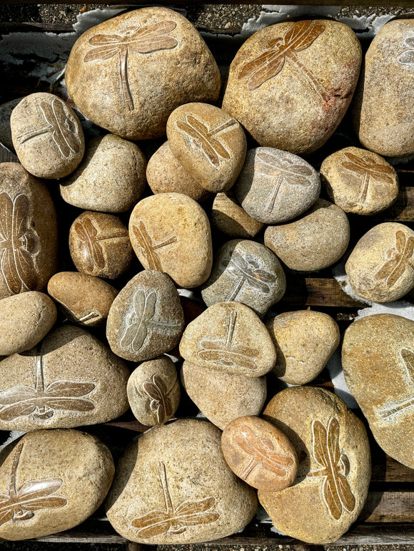 Dragonfly river stones