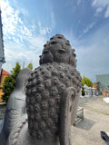 Sitting Buddha