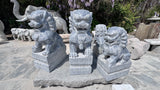 Foo Dog Pair