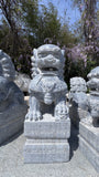 Foo Dog Pair