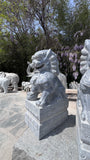 Foo Dog Pair