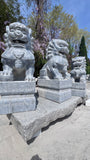 Foo Dog Pair