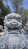 Foo Dog Pair