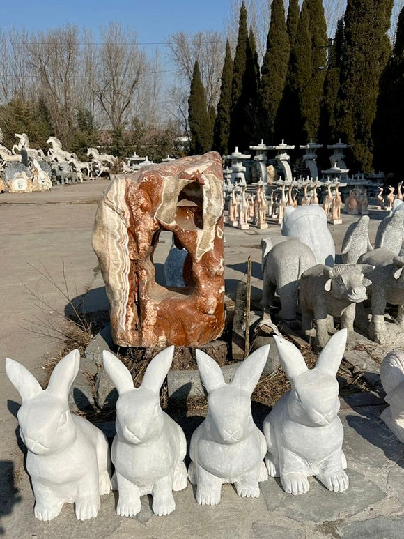 Bunnies