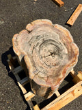 Petrified Wood Stool