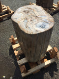 Petrified Wood Stool