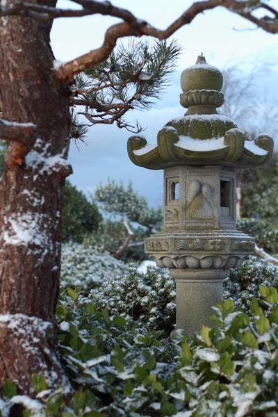 shutterstock_95009950_grande.